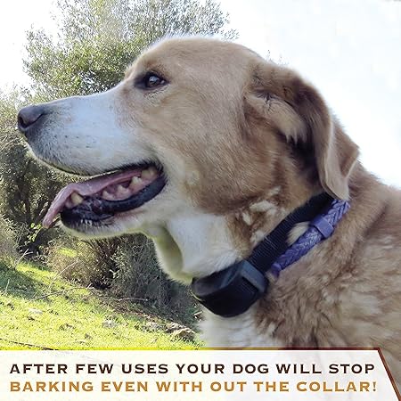 AplinK? No Bark Shock Dog Collar with 7 Sensitivity Levels ,Model : PT-853 ?No Harm, No Pain Vibration, Adjustable Buckles for Small, Medium & Large Dogs?Prevent Barking, Ensure Good Behavior & Facilitate Training