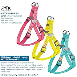 Jax Planet Dog Harness and Leash - Comfortable