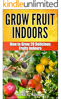 Grow Fruit Indoors For Beginners: Surprisingly Exotic Fruits That ...