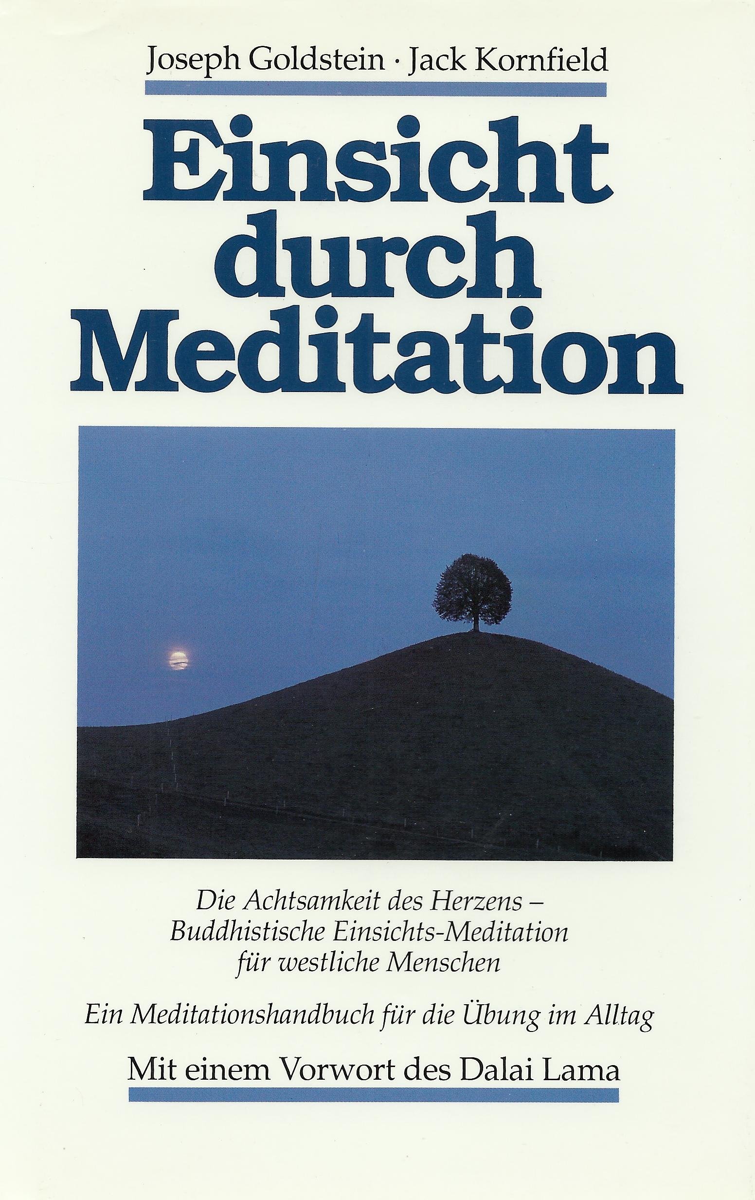 Einsicht Durch Meditation Joseph Goldstein Jack Kornfield Theo Kierdorf Hildegard Hohr Amazon De Bucher