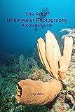 The Art of Underwater Photography: A Course Guide