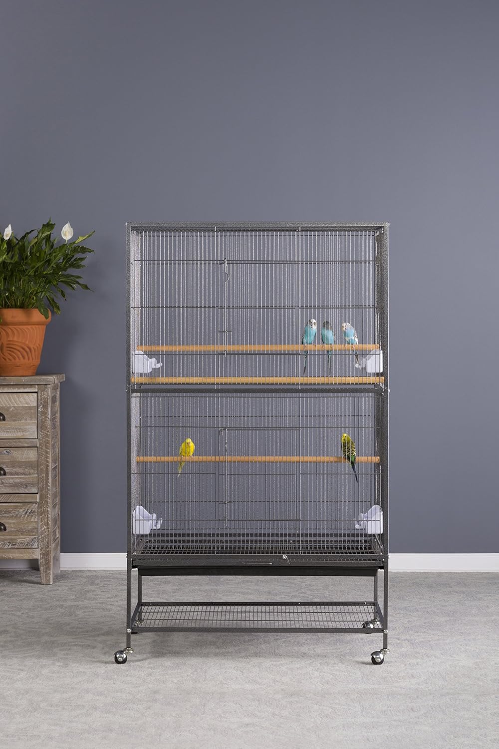 Prevue Pet Products Wrought Iron Flight Cage with Stand F040 Black Bird Cage, 31-Inch by 20-1/2-Inch by 53-Inch : Birdcages : Pet Supplies