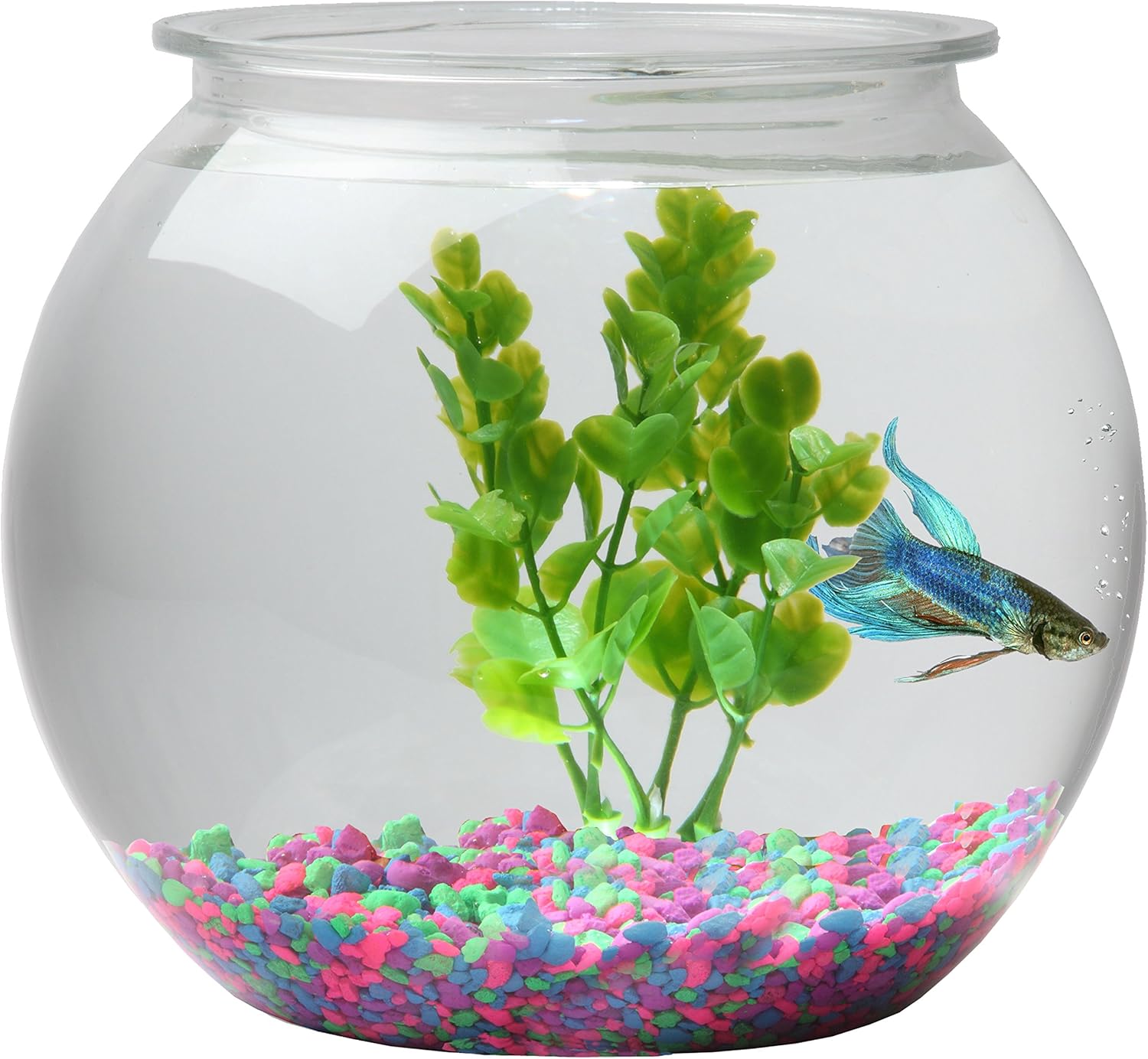 Fish In Home Интернет Магазин