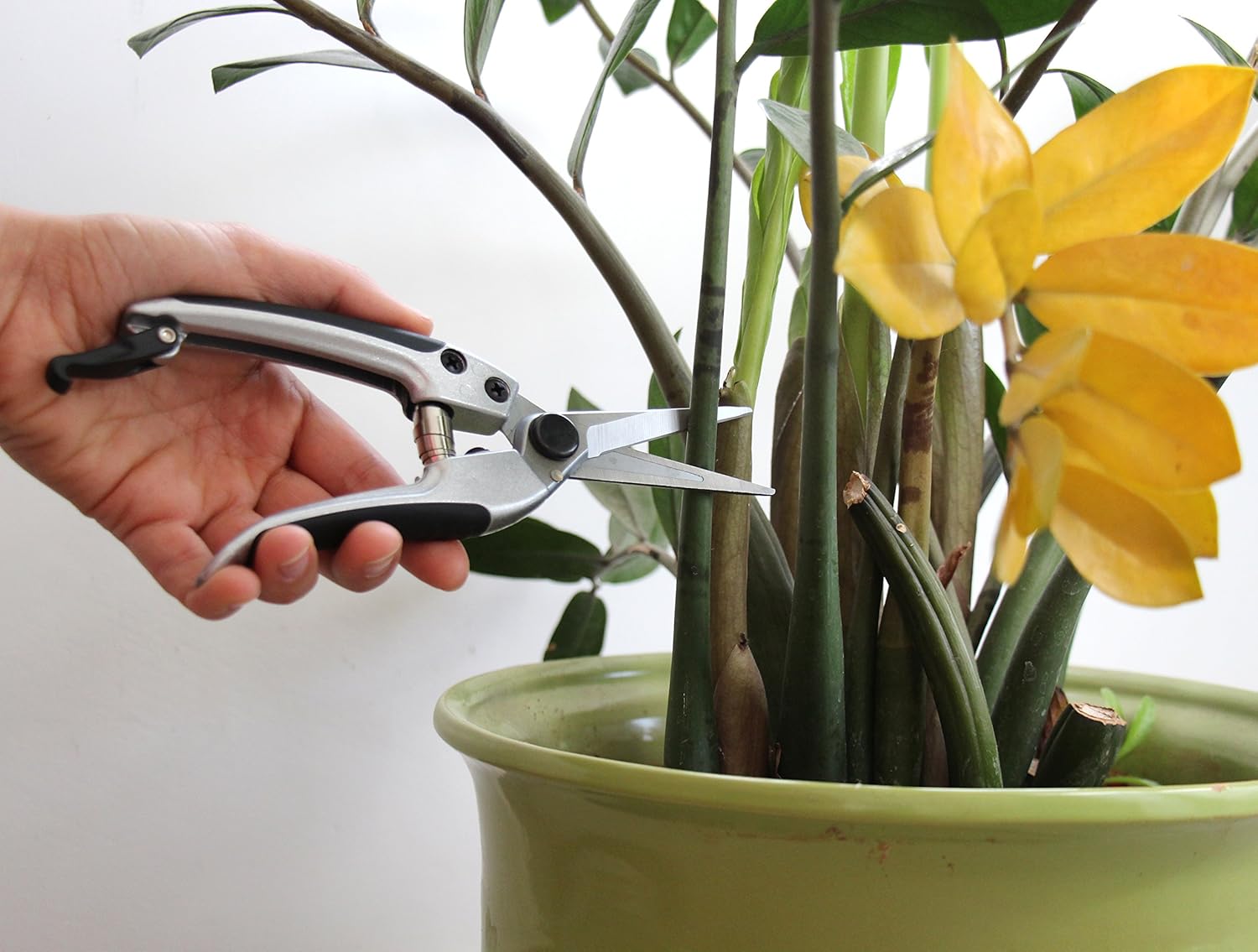 TABOR TOOLS K18A Pruning Shears with Straight Japanese Style Blades, Florist Scissors, Multi-Tasking Garden Snips for Arranging Flowers, Trimming Plants and Harvesting Herbs, Fruits or Vegetables. : Garden & Outdoor