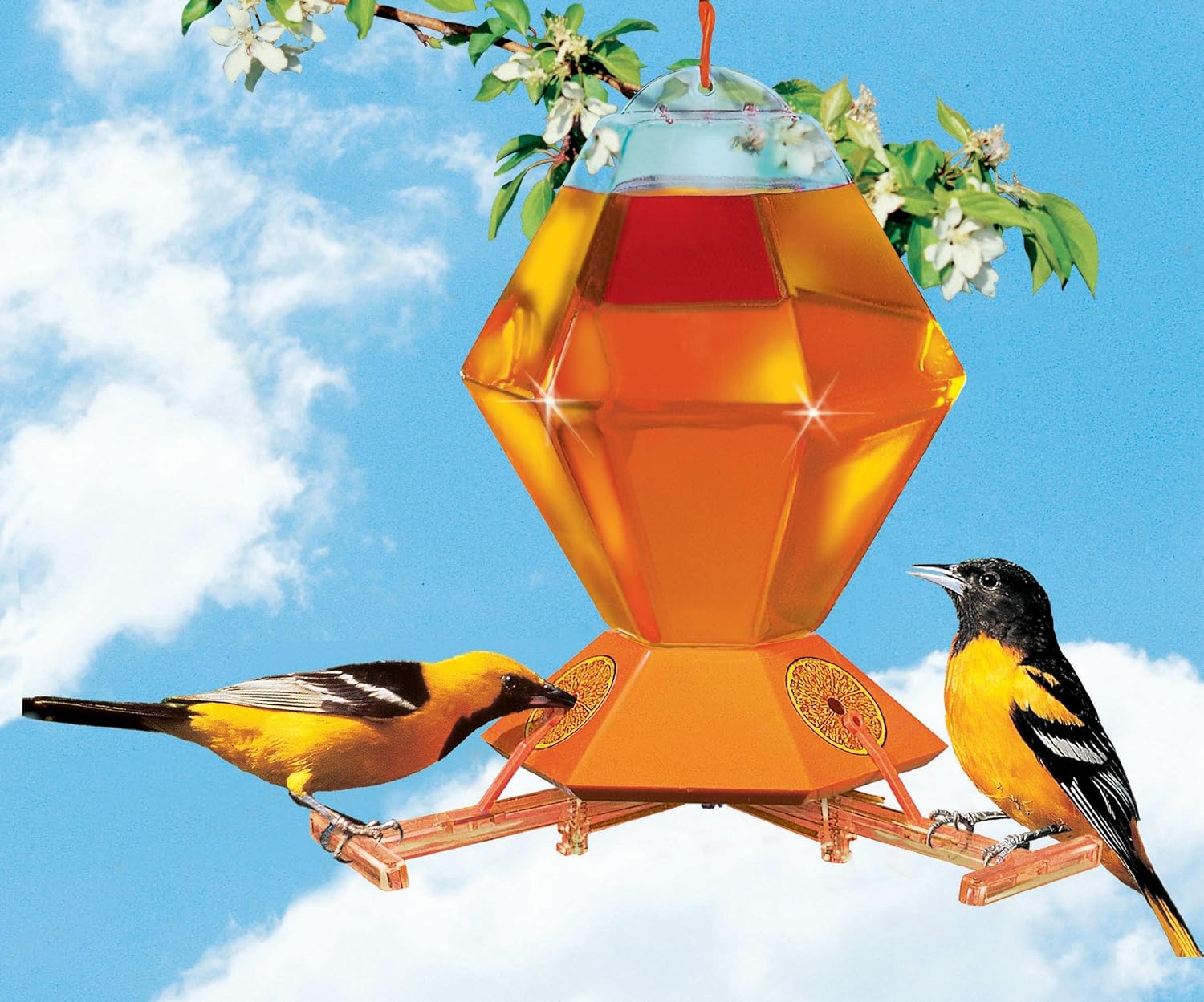 Perky Pet Deluxe Oriole Feeder 36oz Amazon In Garden Outdoors