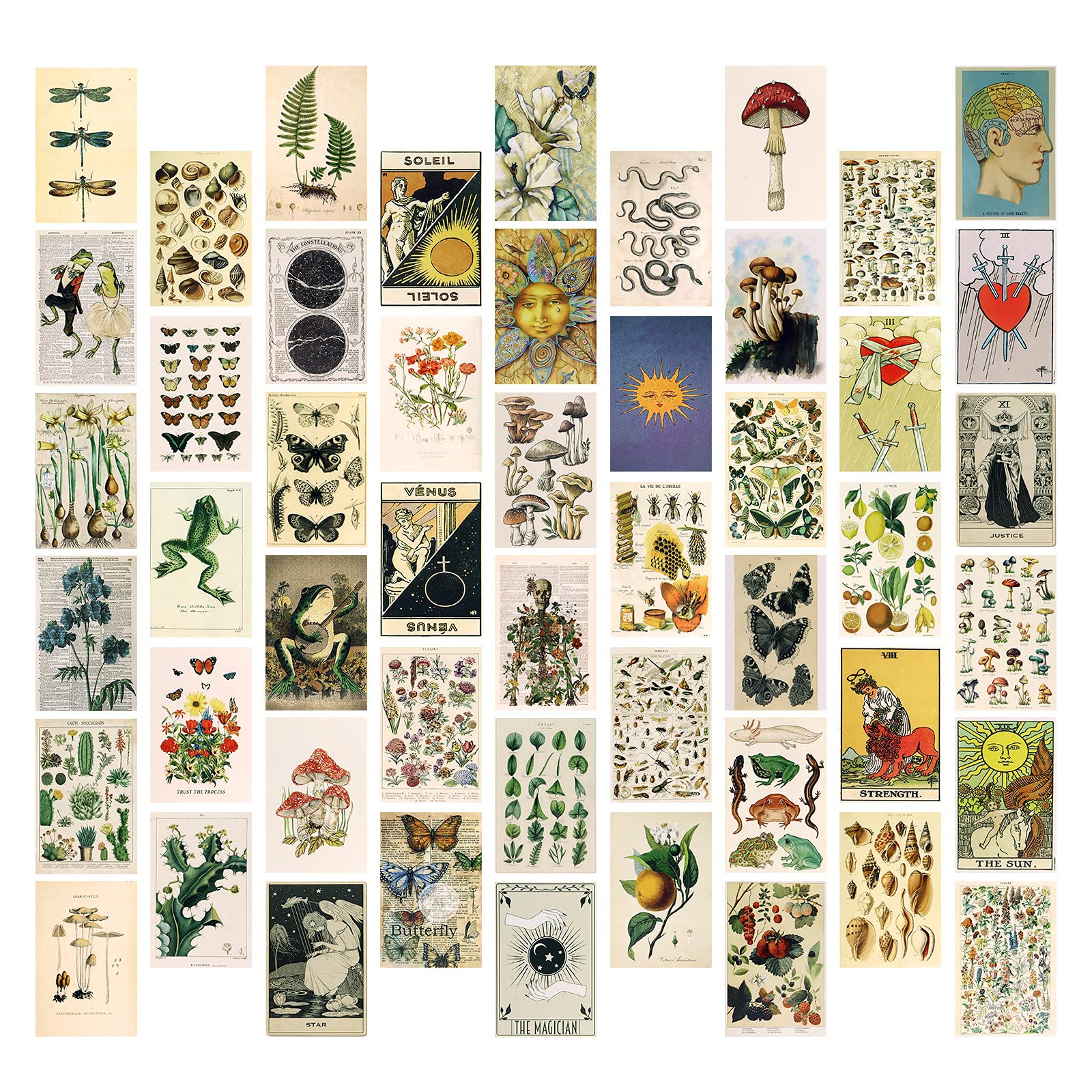 Shineyoo 50PCS Art Wall Collage Kit, Room Decor Aesthetic Bedroom Vintage Print Posters Kit, Decor Collage Postcard for Girls Boys Fashion Room Bedroom Walls Dorm Photo Display