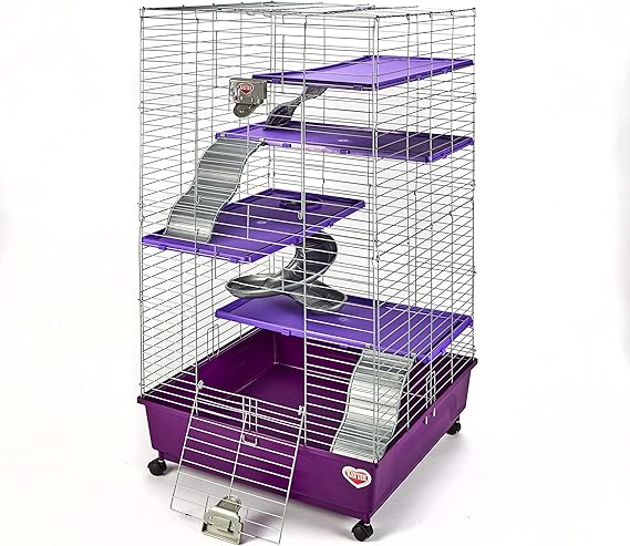 purple ferret cage