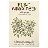 Plant Good Seed Organic White Sage Seeds for
