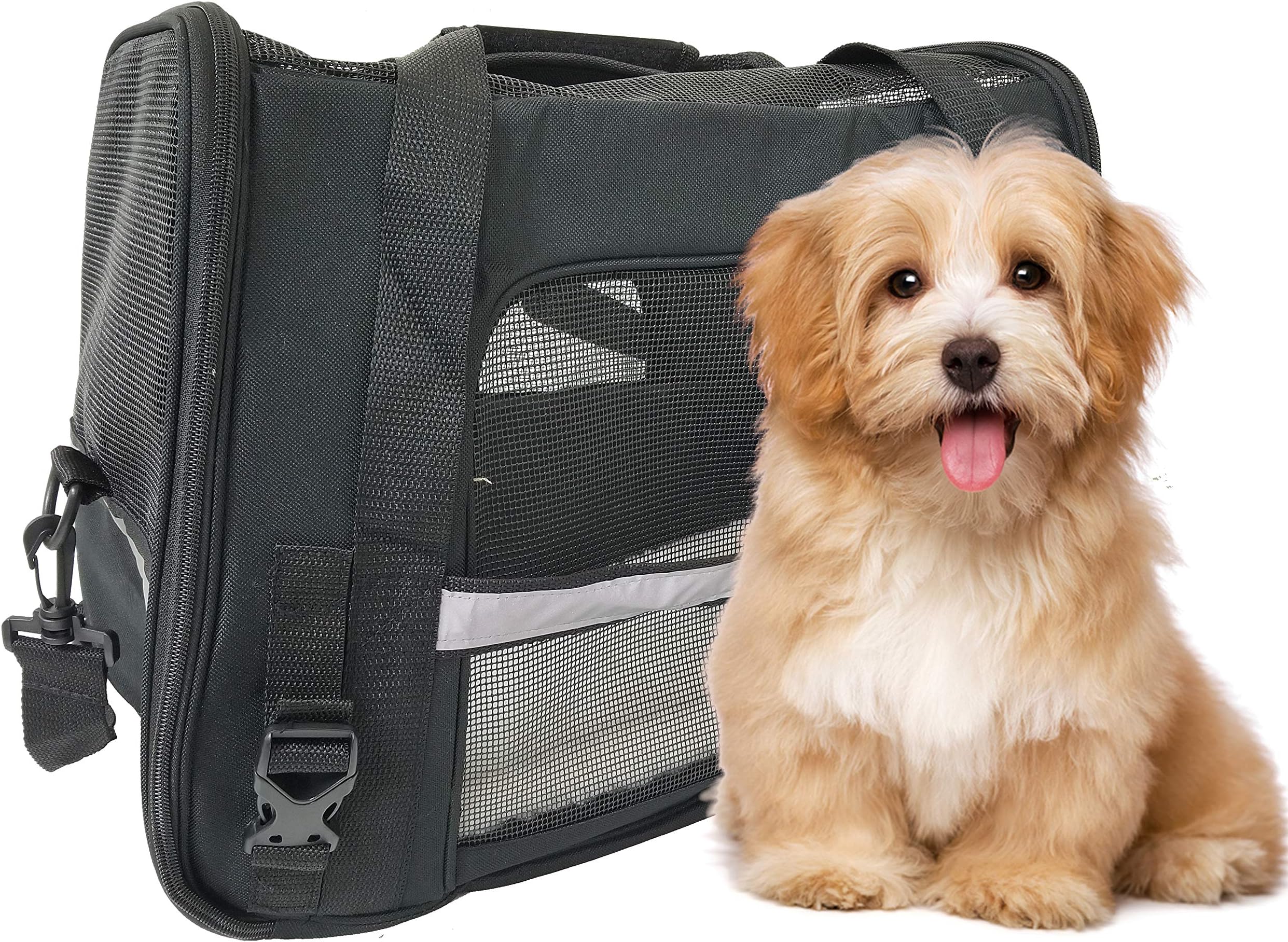 Premium Pet Travel Carrier, Airline Approved, Soft Sided with Fleece Bed Mats, Perfect for Small Dogs, Cats, Birds, Rabbits