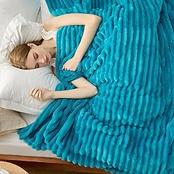Bedsure Teal Full Blanket for Bed - GentleSoft Cozy