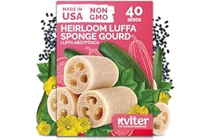 KVITER 40 Luffa Seeds (Luffa Aegyptiaca) – Loofa, Loofah Sponge Gourd Heirloom Seeds, Ideal Non GMO & Organic Natural Sponge – Loofah Seed for Planting from USA to Grow in Your Home Vegetable Garden