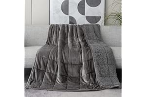 Kaisa Weighted Blanket for Adults 15 pounds Queen Size, Sherpa Fleece Weighted Blankets Fuzzy Heavy Blankets, Flannel Sofa Gravity Blankets, Idea Gifts for Families Friends, 60x80 Inches, Gray