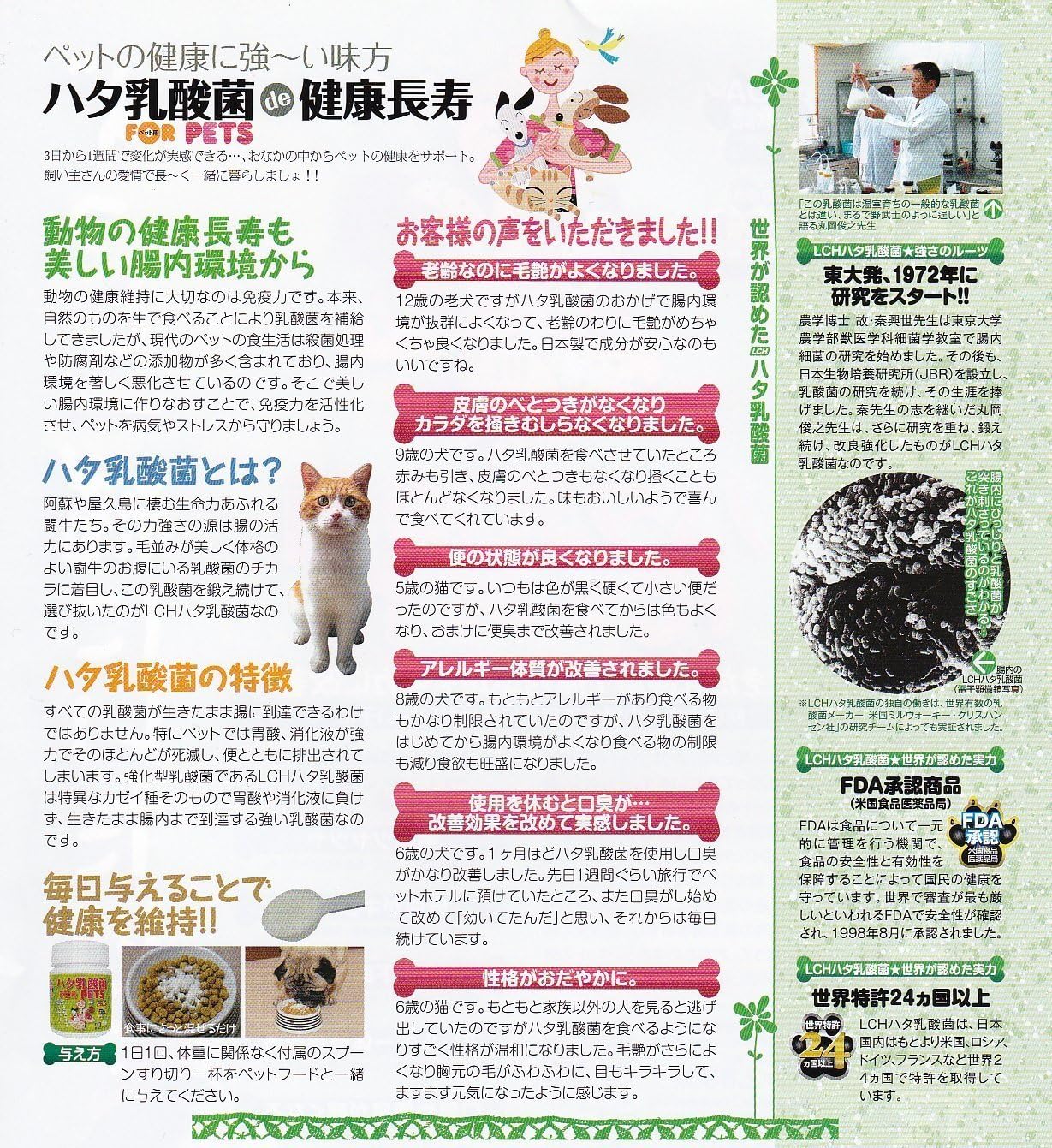 メーカー Ns ハタ乳酸菌 For ペット キング Www Blaskogabyggd Is