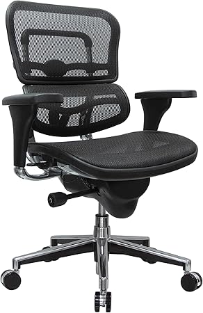 Amazon.com: Eurotech Seating Ergohuman 
