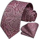 HISDERN Mens Ties Paisley Tie and Pocket Square Woven Classic Floral Mens Necktie Handkerchief Set for Wedding Party