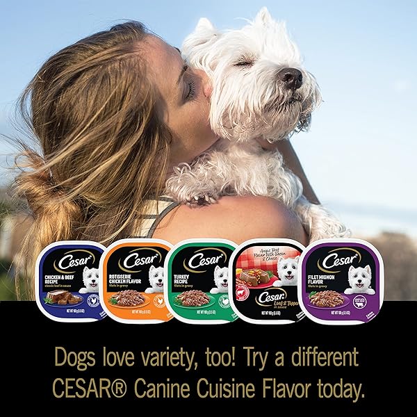 CESAR WET DOG FOOD LOAF IN SAUCE ROTISSERIE CHICKEN, FILET MIGNON, ANGUS BEEF, AND HAM & EGG FLAVORS VARIETY PACK, 3.5 OZ. EASY PEEL TRAYS (24 COUNT, PACK OF 1)