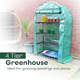 DIVCHI 4 Tier Greenhouse with Frame and Cover Outdoor Patio Garden view 2