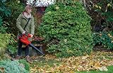Einhell 36V Cordless Leaf Blower Vac Power X-Change GE-CL 36/230 Li E Solo view 4