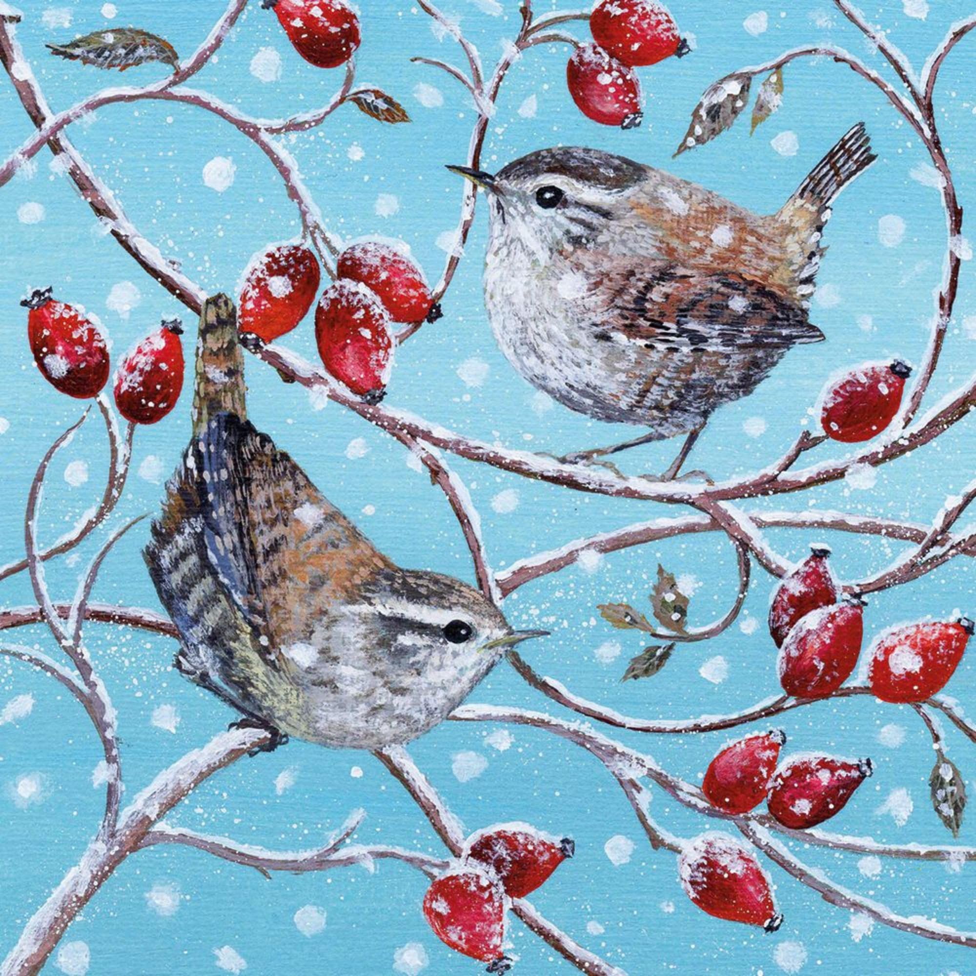 Museums & Galleries Charity Christmas Cards Pack of 8 - Wren and Rosehips Lucy Grossmith Design - Festive Christmas Cards Multipack - In Aid of UK Charities