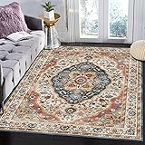 Vivorug Washable Rug, Ultra Soft Area Rug 3x5, Non