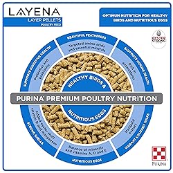 Purina, Layena Pellets, Chicken Feed for Laying
