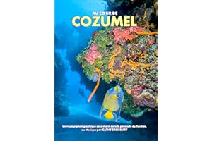 Au cœur de COZUMEL: Un voyage photographique sous-marin dans la péninsule du Yucatán, au Mexique (VOYAGES PHOTOGRAPHIQUES SOU