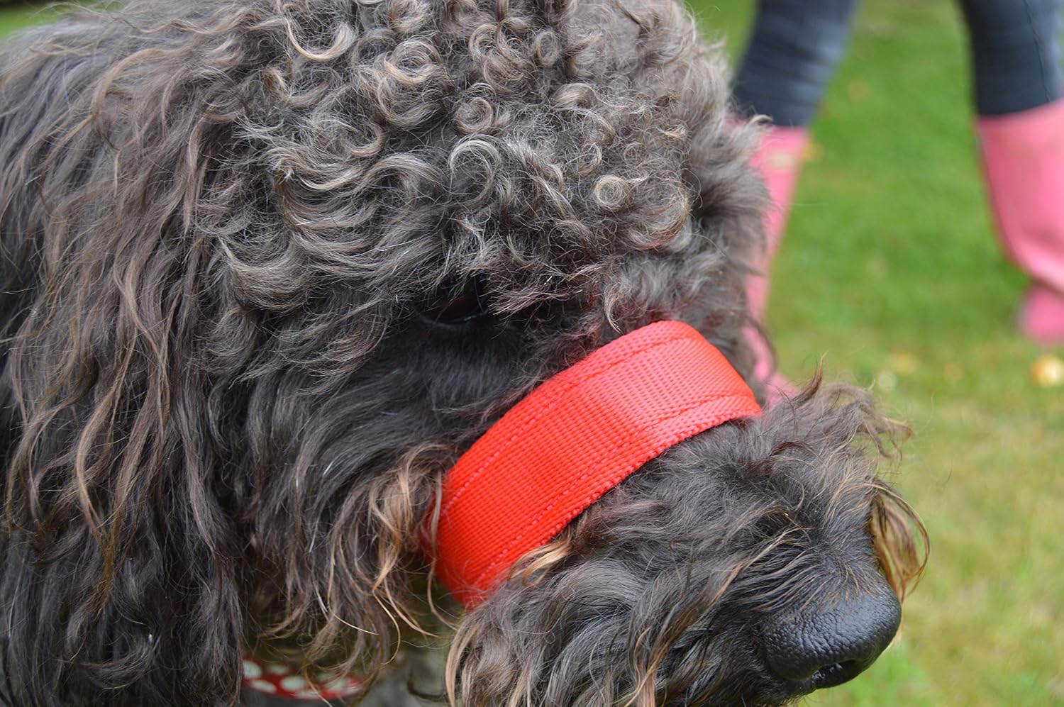 Gencon, Extra-Wide Anti Pull Dog Headcollar, Trainer Approved, Soft & Gentle Control, Practical Dog Training & Behaviour Aid - Image 3