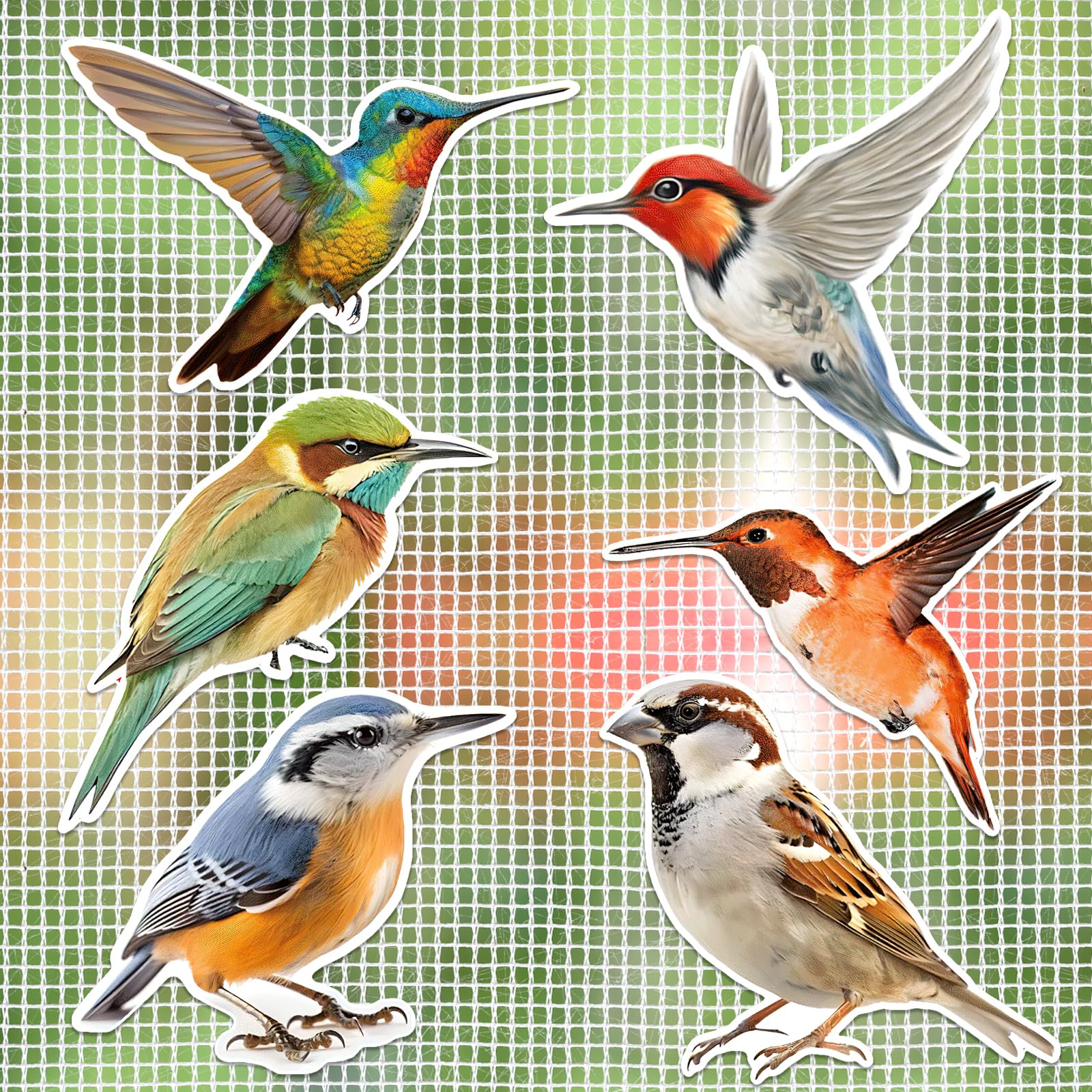 JSRQT Magnetic Screen Door Decals 12 Pieces Screen Door Magnets Hummingbird Flexible Screen Door Protector for Sliding Door Window Pets Double Sided Screen Sticker Decorative Safe Bird Magnet