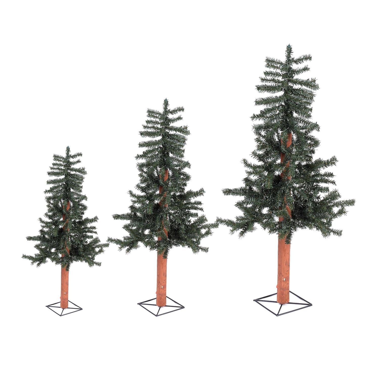 234 Ft Pine Tree Home & Kitchen