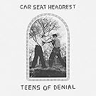 Teens Of Denial [Explicit]