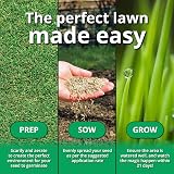 A1Lawn A1 Lawn Shade & Drought Tolerant Grass Seed 5kg UK Harvested view 4