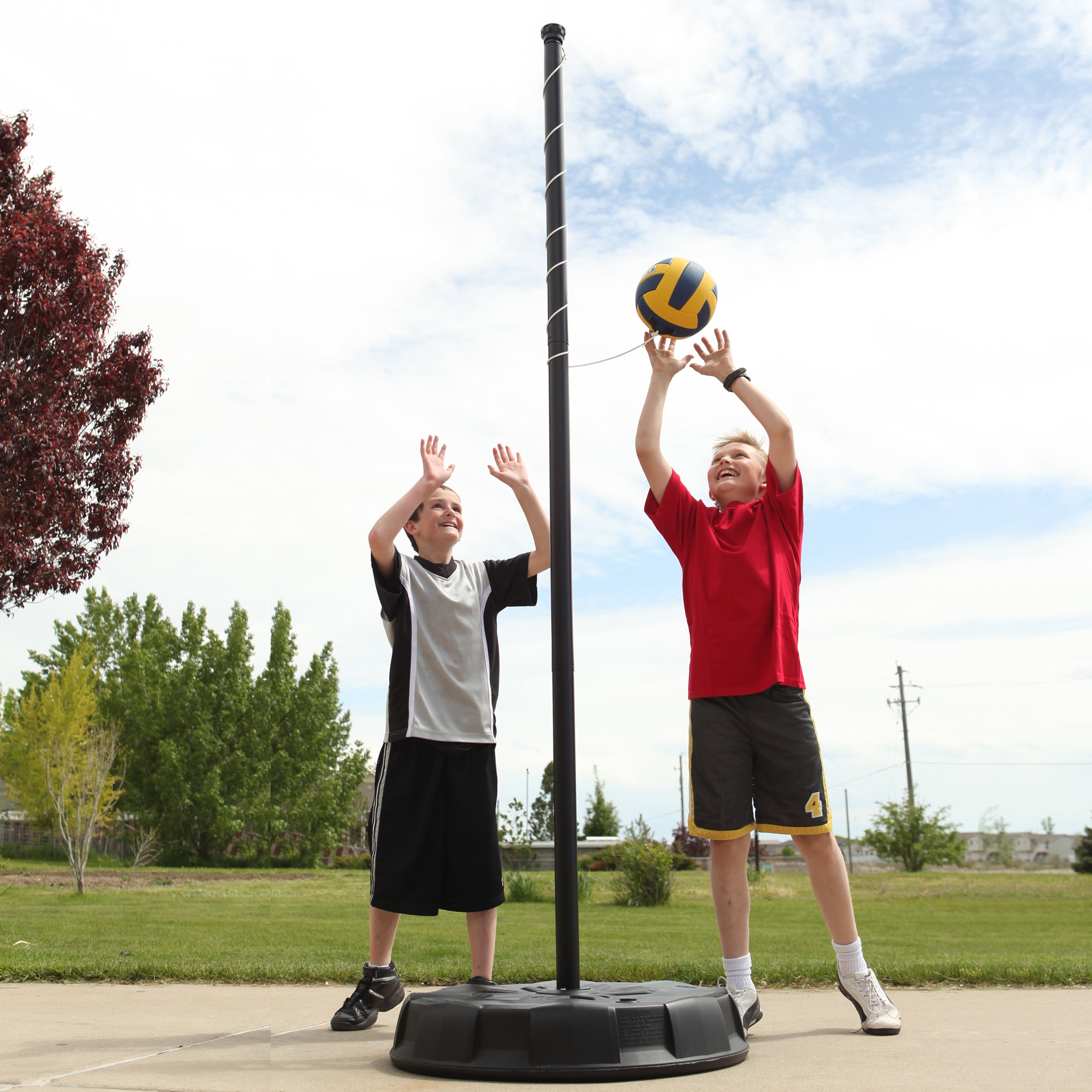 Lifetime 90029 Portable Tetherball System eBay