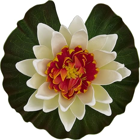 Amazon Com Tetra Pond Floating Water Lily Colors May Vary Pet Supplies