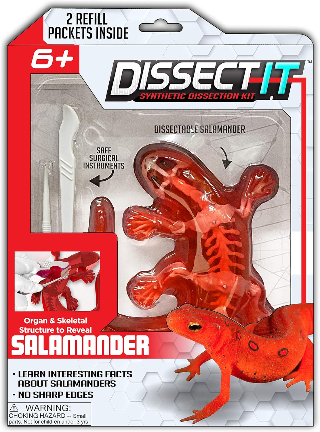 Top Secret Toys Dissect-It Simulated Synthetic Lab Dissection STEM Toy | Kids Home Learning Science Project, Great for Young Scientists! - Salamander: Toys & Games