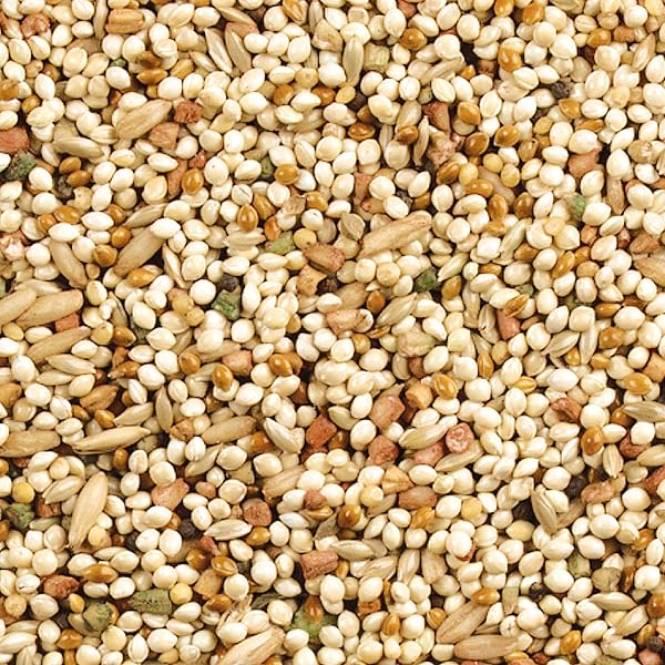 WILD HARVEST DAILY BLEND NUTRITION DIET FOR PARAKEET, CANARY AND FINCH 10 POUNDS