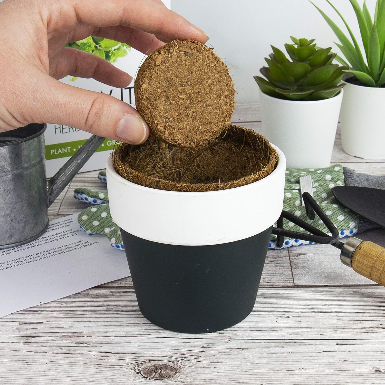 Gift Republic: Grow It. Grow Your Own Herb Garden, Natural - Image 3