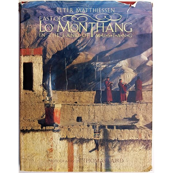 Amazon.com: Tibetan Mustang: A Cultural Renaissance: 9783777441979