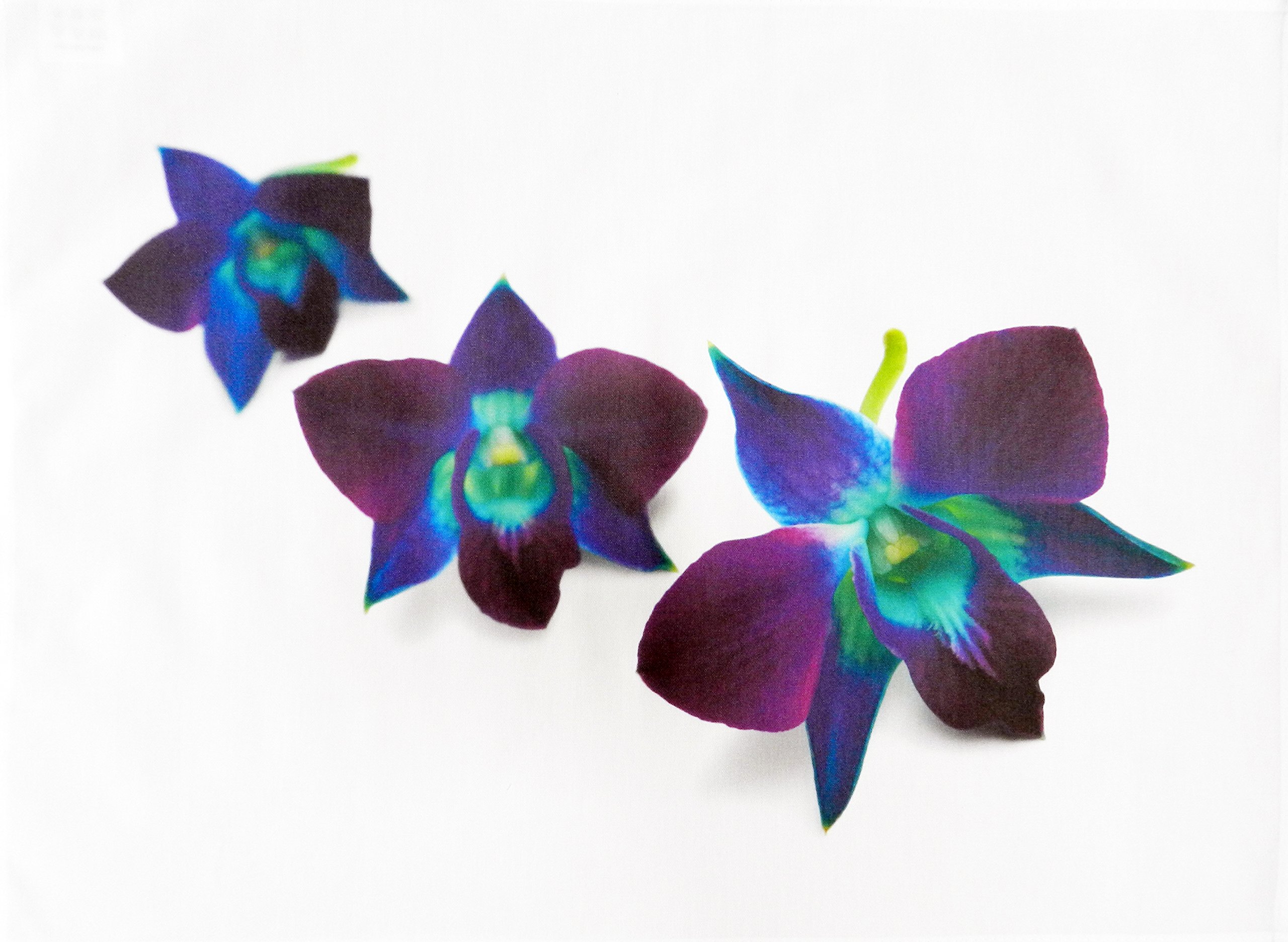 Half a Donkey The Purple Orchid Large Cotton Tea Towel