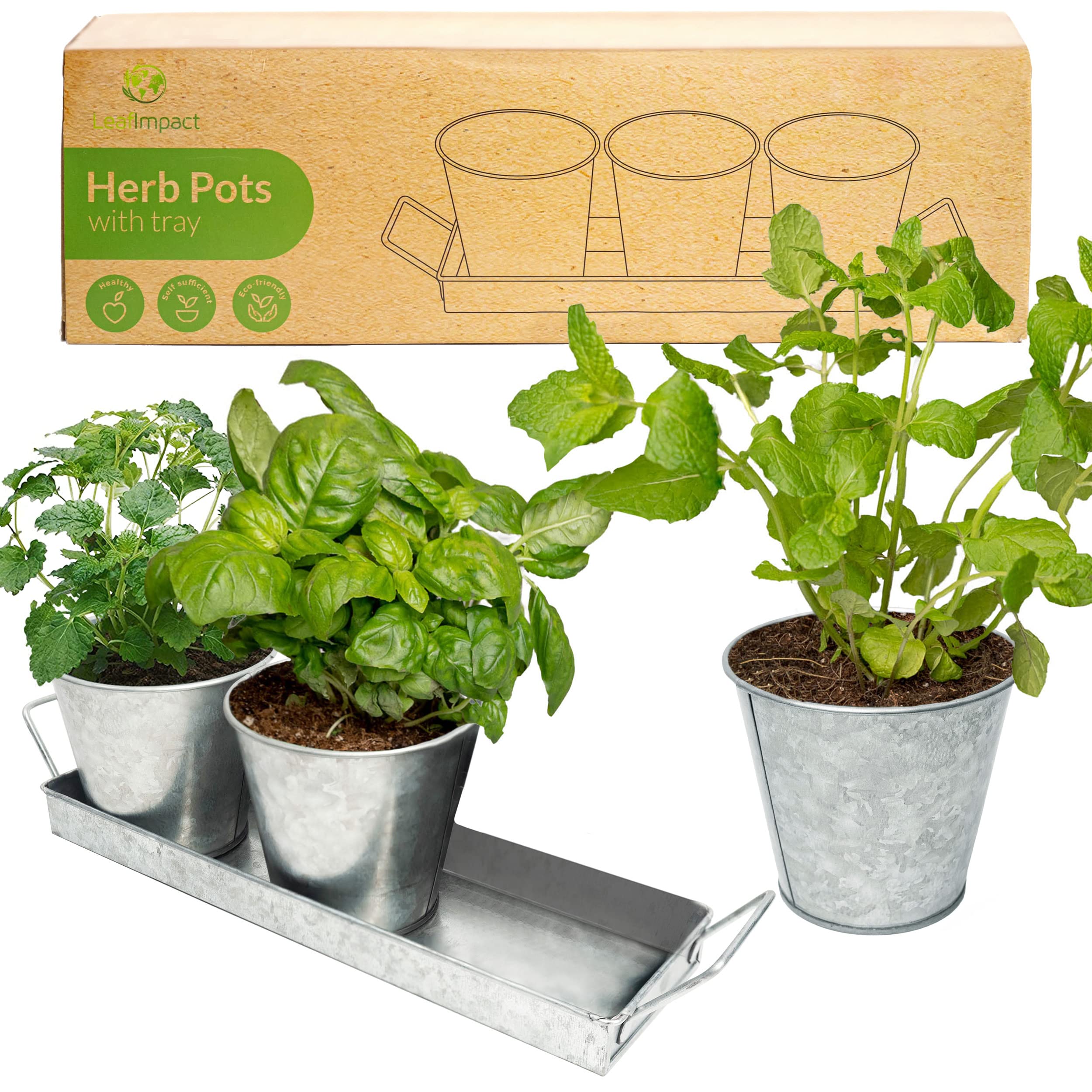 Herb Planter Indoor | Grow Fresh Herbs At Home | Herb Pots for Kitchen & Windowsill | Kitchen Herb Garden | Indoor Herb Planter | Includes Drain Hole | Garden Pots for Basil, Mint, Parsley and More