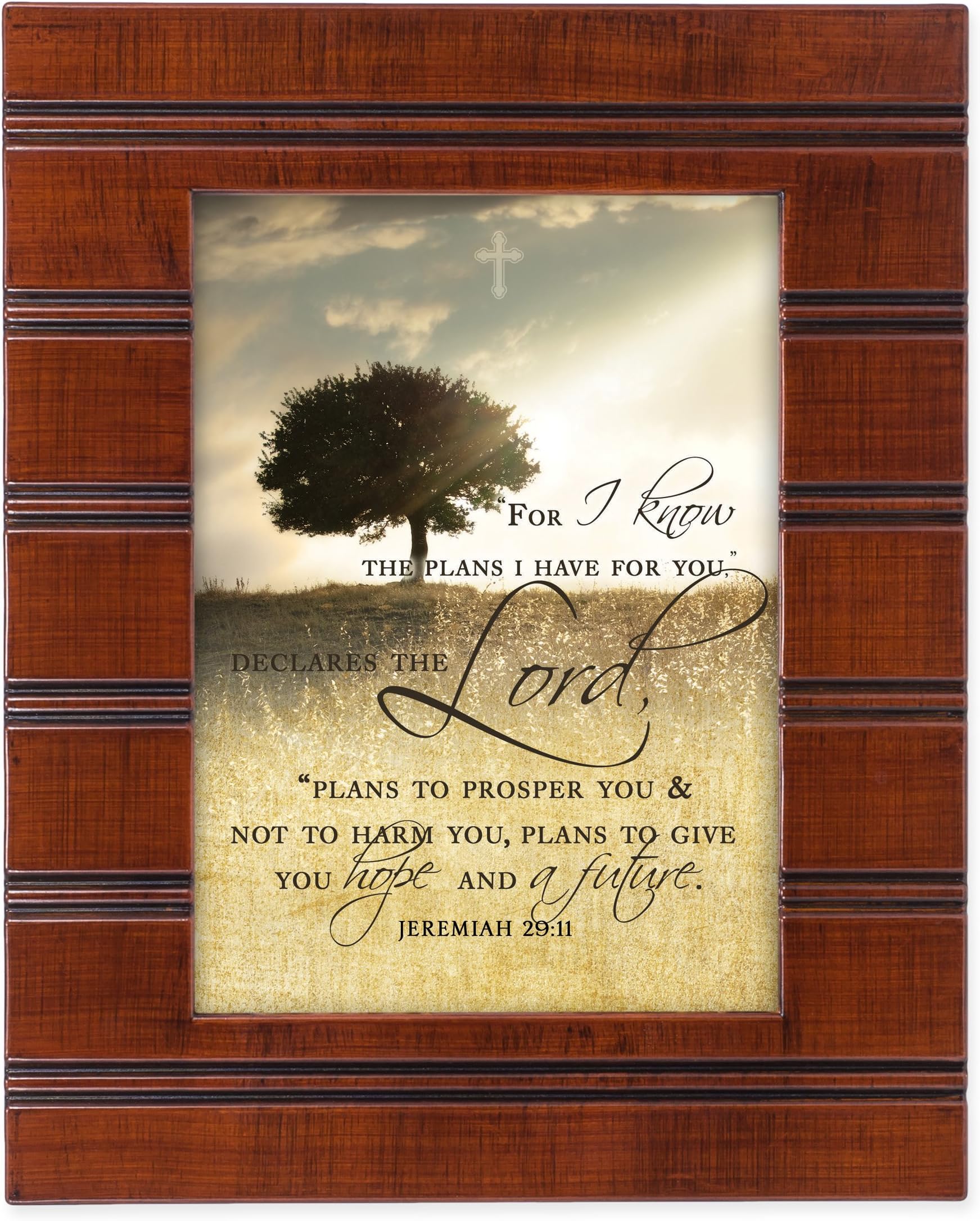 For I know the Plans I Have For You Jeremiah 29:11 Wood Finish 8 x 10 Sentimental Framed Art Plaque