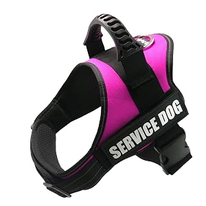 5. Service Dog Vest (Harness) by Fayogoo
