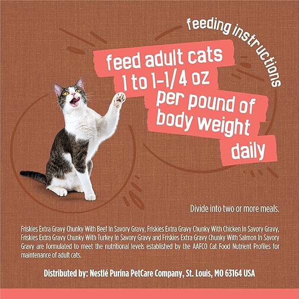 PURINA FRISKIES EXTRA GRAVY WET CAT FOOD CHUNKY 24CT VARIETY PACK (WITH CHICKEN, TURKEY, SALMON, BEEF) – (PACK OF 24) 5.5 OZ. CANS