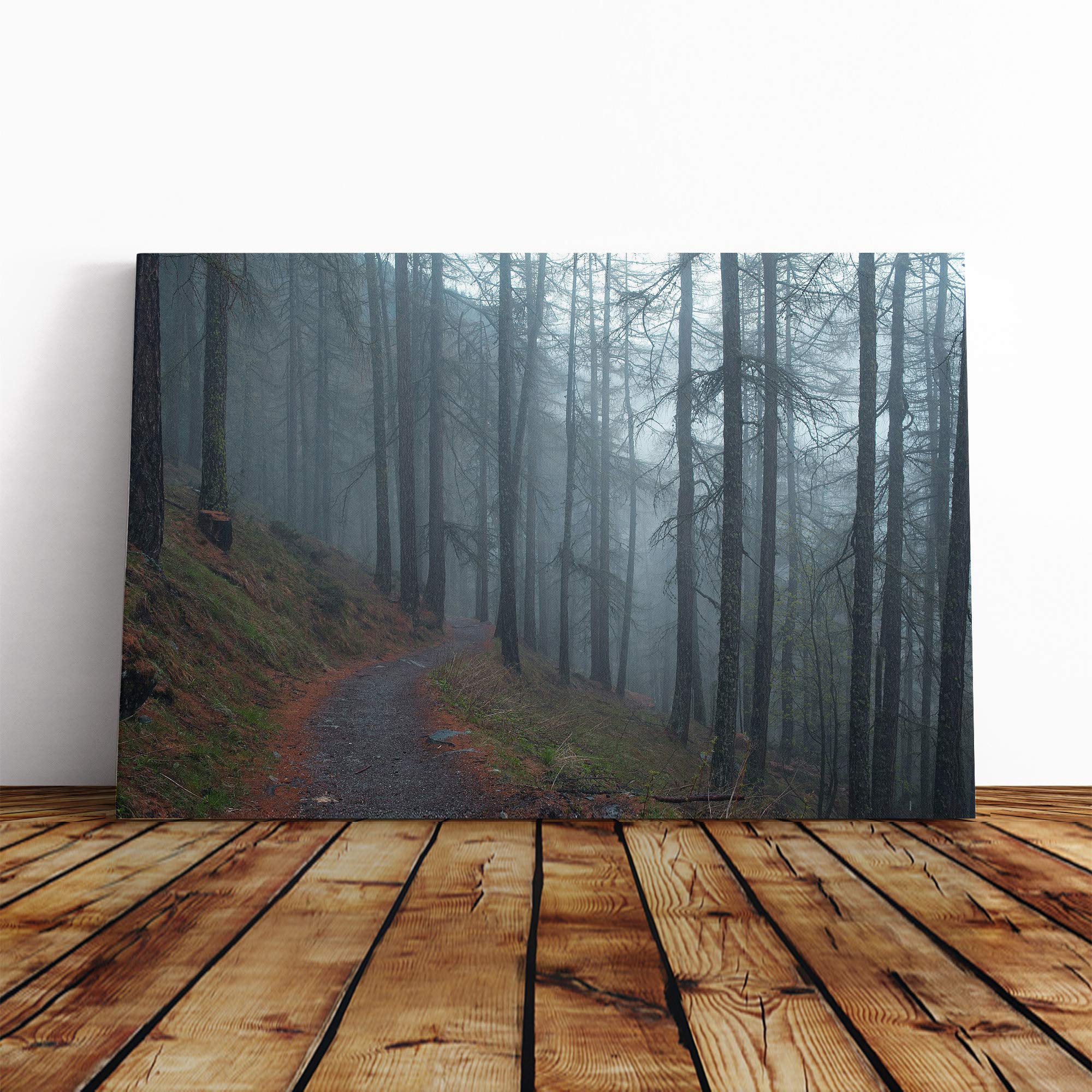 Landscape Forest Pathway Canvas Print | Gallery Wrapped 30mm Frame Wall Art | 20x14 inches | Ready to Hang | Modern Landscape Picture | Living Room Bedroom Lounge Office