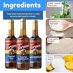 Holiday Syrup Flavors - Gingerbread, Pumpkin