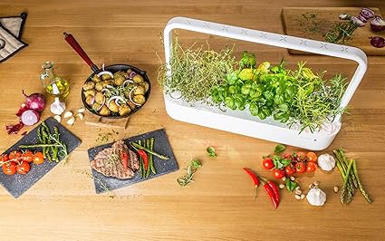 Emsa 3 Cápsulas Tomate Click & Grow, Semillas apta para Smart ...