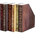 Bits and Pieces - Heavy-Duty File Organizer and Magazine Holder – Set of 3 – Decorative Classic Books Themed Magazine Rack - 3" x 11" x 12