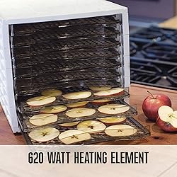 Weston Food Dehydrator Machine for Beef