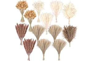 CKBT 300 PCS Dried Pampas Grass Decor, Dried Flower Bouquets for Wedding, Home, Centerpiece Table, Modern Home, Western Living Room, Nurserie, Nursery, Boho Room, Beach, Women Office, and Boho Decor