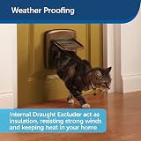 PetSafe Staywell Cat Flap Magnetic Locking Door view 4