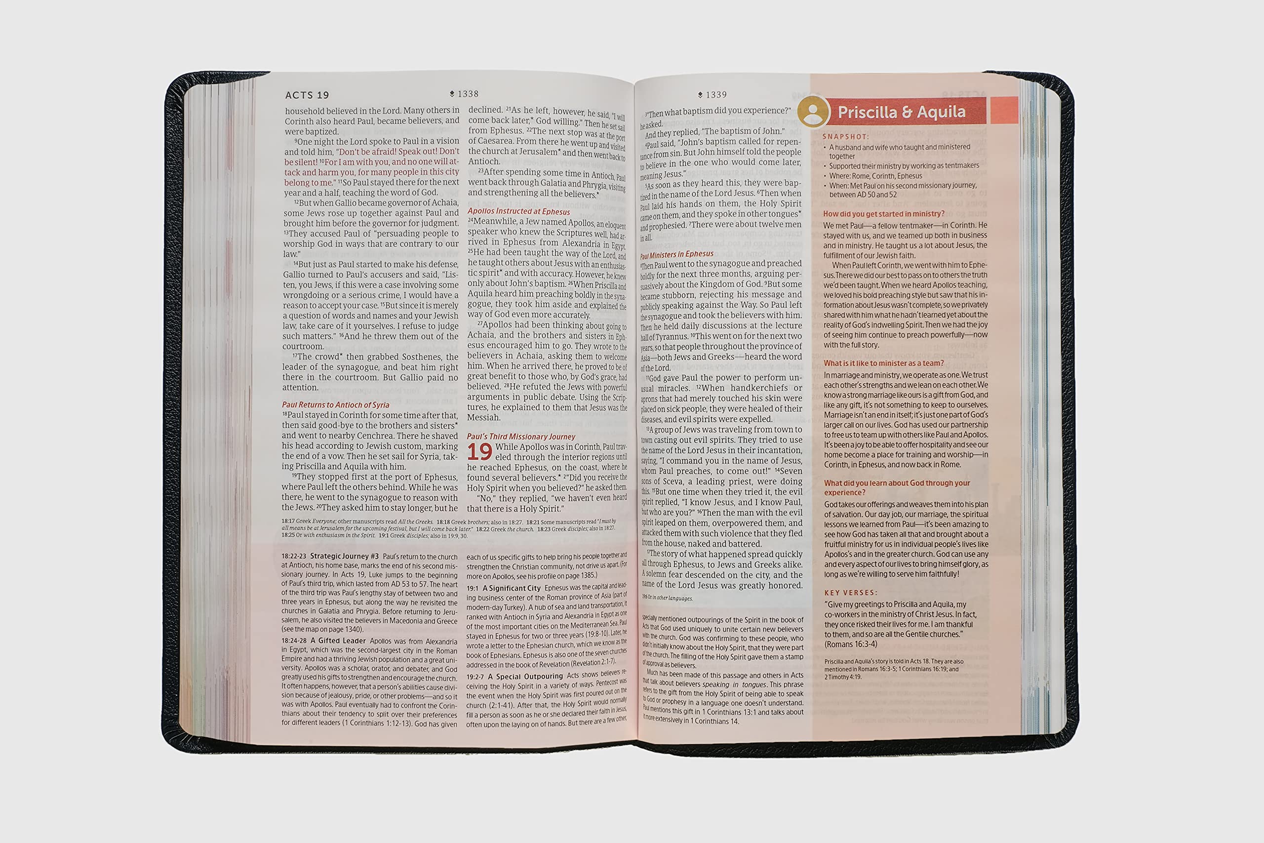 NLT Student Life Application Study Bible, Filament Enabled (LeatherLike, Charcoal Gray Striped, Red Letter) NLT Student Life Application Study Bible, Filament Enabled (LeatherLike, Charcoal Gray Striped, Red Letter) Imitation Leather